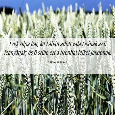 Picture 06 - 1 Mózes 46:18 KAR - Ezek Zilpa fiai, kit Lábán adott vala Leának - Bible Verse Picture