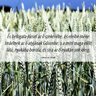 Picture 06 - 1 Mózes 46:29 KAR - És befogata József az õ szekerébe, és eleibe - Bible Verse Picture