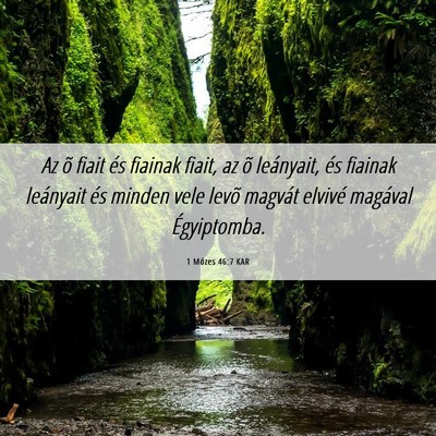 Picture 06 - 1 Mózes 46:7 KAR - Az õ fiait és fiainak fiait, az õ leányait, - Bible Verse Picture