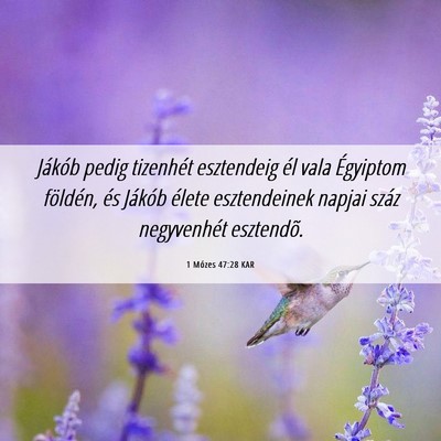 Picture 06 - 1 Mózes 47:28 KAR - Jákób pedig tizenhét esztendeig él vala - Bible Verse Picture