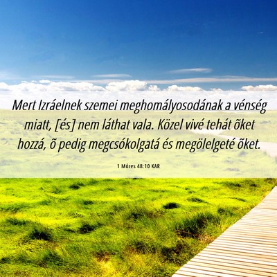Picture 06 - 1 Mózes 48:10 KAR - Mert Izráelnek szemei meghomályosodának a - Bible Verse Picture