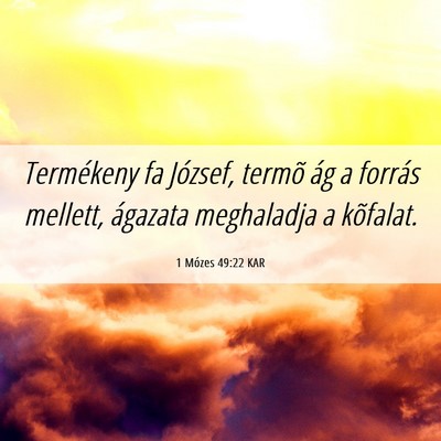 Picture 06 - 1 Mózes 49:22 KAR - Termékeny fa József, termõ ág a forrás - Bible Verse Picture