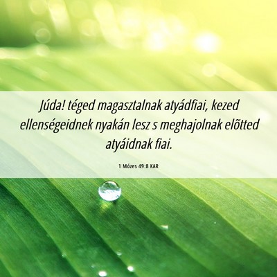 Picture 06 - 1 Mózes 49:8 KAR - Júda! téged magasztalnak atyádfiai, kezed - Bible Verse Picture