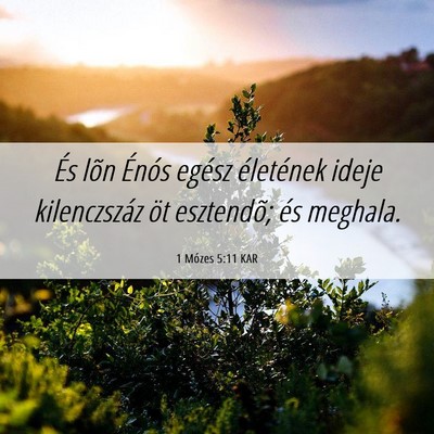 Picture 06 - 1 Mózes 5:11 KAR - És lõn Énós egész életének ideje - Bible Verse Picture