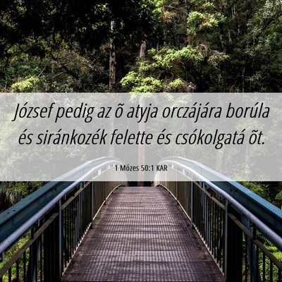 Picture 06 - 1 Mózes 50:1 KAR - József pedig az õ atyja orczájára borúla és - Bible Verse Picture