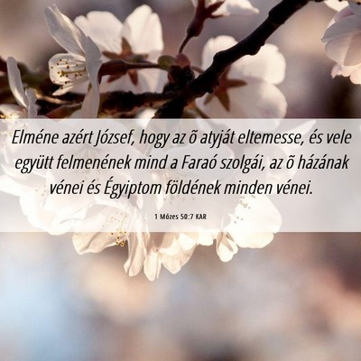 Picture 06 - 1 Mózes 50:7 KAR - Elméne azért József, hogy az õ atyját - Bible Verse Picture