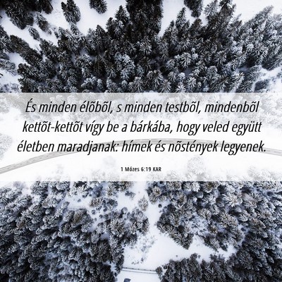 Picture 06 - 1 Mózes 6:19 KAR - És minden élõbõl, s minden testbõl, - Bible Verse Picture