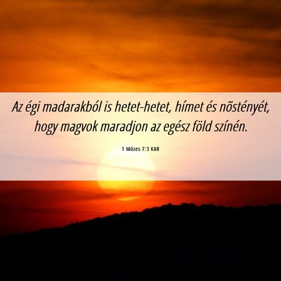 Picture 06 - 1 Mózes 7:3 KAR - Az égi madarakból is hetet-hetet, hímet és - Bible Verse Picture