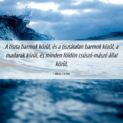 Picture 06 - 1 Mózes 7:8 KAR - A tiszta barmok közûl, és a tisztátalan - Bible Verse Picture