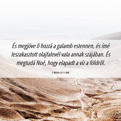 Picture 06 - 1 Mózes 8:11 KAR - És megjöve õ hozzá a galamb estennen, és - Bible Verse Picture