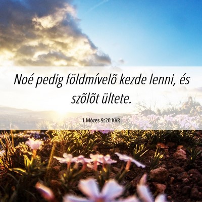 Picture 06 - 1 Mózes 9:20 KAR - Noé pedig földmívelõ kezde lenni, és - Bible Verse Picture