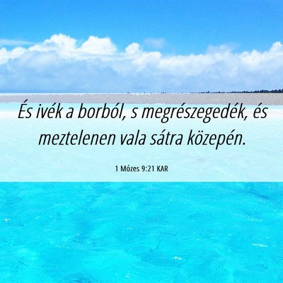 Picture 06 - 1 Mózes 9:21 KAR - És ivék a borból, s megrészegedék, és - Bible Verse Picture