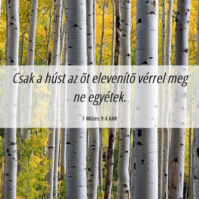 Picture 06 - 1 Mózes 9:4 KAR - Csak a húst az õt elevenítõ vérrel meg ne - Bible Verse Picture