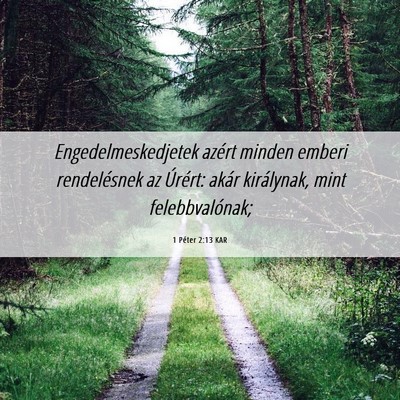Picture 06 - 1 Péter 2:13 KAR - Engedelmeskedjetek azért minden emberi - Bible Verse Picture