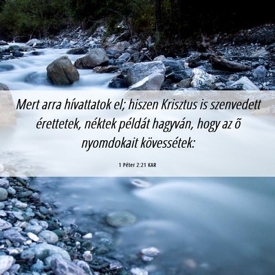 Picture 06 - 1 Péter 2:21 KAR - Mert arra hívattatok el; hiszen Krisztus is - Bible Verse Picture