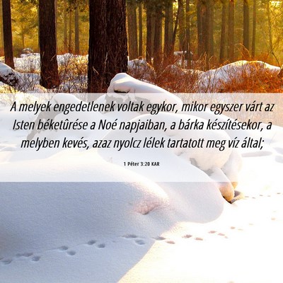 Picture 06 - 1 Péter 3:20 KAR - A melyek engedetlenek voltak egykor, mikor - Bible Verse Picture