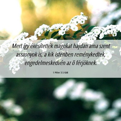 Picture 06 - 1 Péter 3:5 KAR - Mert így ékesítették magokat hajdan ama szent - Bible Verse Picture