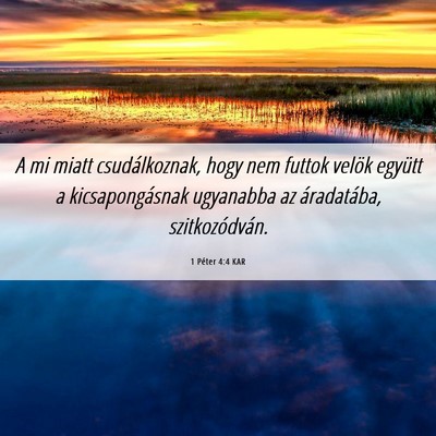 Picture 06 - 1 Péter 4:4 KAR - A mi miatt csudálkoznak, hogy nem futtok velök - Bible Verse Picture