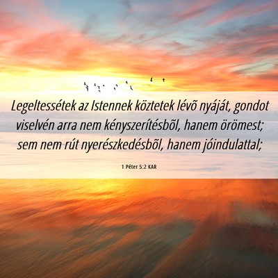 Picture 06 - 1 Péter 5:2 KAR - Legeltessétek az Istennek köztetek lévõ - Bible Verse Picture