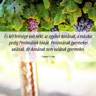 Picture 06 - 1 Sámuel 1:2 KAR - És két felesége volt néki; az egyiket - Bible Verse Picture