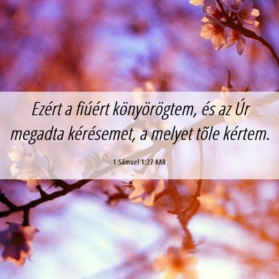 Picture 06 - 1 Sámuel 1:27 KAR - Ezért a fiúért könyörögtem, és az Úr - Bible Verse Picture