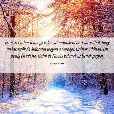 Picture 06 - 1 Sámuel 1:3 KAR - És ez az ember felmegy vala esztendõnként az - Bible Verse Picture