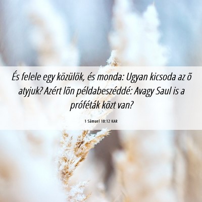 Picture 06 - 1 Sámuel 10:12 KAR - És felele egy közülök, és monda: Ugyan - Bible Verse Picture