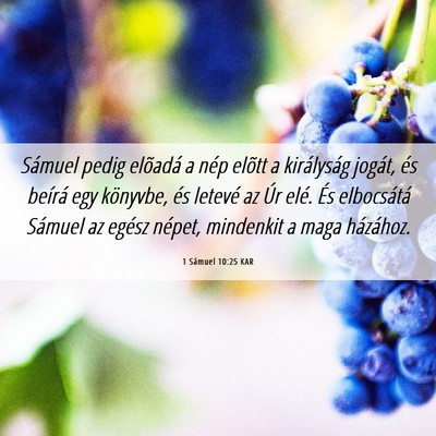 Picture 06 - 1 Sámuel 10:25 KAR - Sámuel pedig elõadá a nép elõtt a - Bible Verse Picture