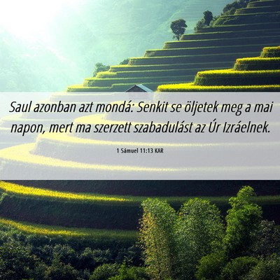 Picture 06 - 1 Sámuel 11:13 KAR - Saul azonban azt mondá: Senkit se öljetek meg a - Bible Verse Picture