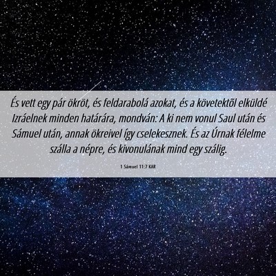 Picture 06 - 1 Sámuel 11:7 KAR - És vett egy pár ökröt, és feldarabolá - Bible Verse Picture