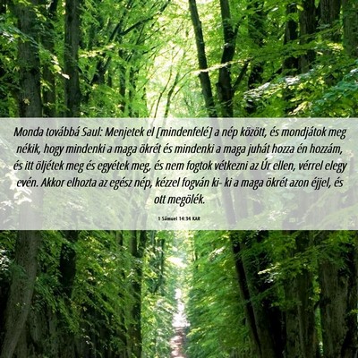 Picture 06 - 1 Sámuel 14:34 KAR - Monda továbbá Saul: Menjetek el [mindenfelé] a - Bible Verse Picture