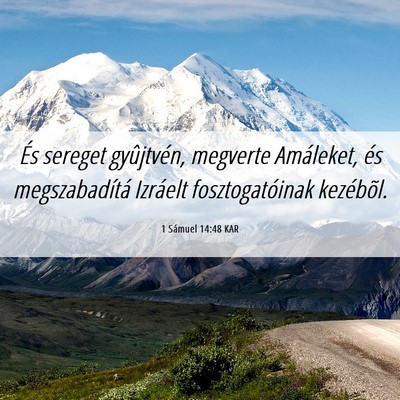 Picture 06 - 1 Sámuel 14:48 KAR - És sereget gyûjtvén, megverte Amáleket, és - Bible Verse Picture