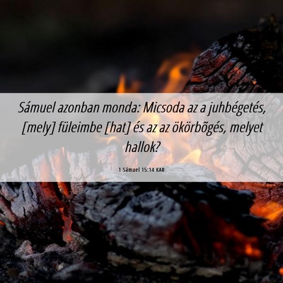 Picture 06 - 1 Sámuel 15:14 KAR - Sámuel azonban monda: Micsoda az a juhbégetés, - Bible Verse Picture