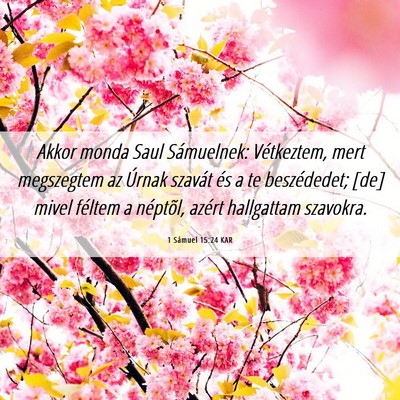 Picture 06 - 1 Sámuel 15:24 KAR - Akkor monda Saul Sámuelnek: Vétkeztem, mert - Bible Verse Picture