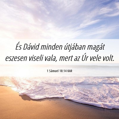 Picture 06 - 1 Sámuel 18:14 KAR - És Dávid minden útjában magát eszesen viseli - Bible Verse Picture