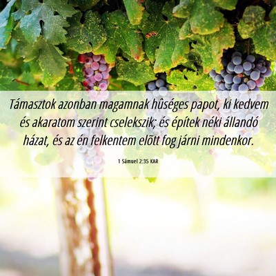 Picture 06 - 1 Sámuel 2:35 KAR - Támasztok azonban magamnak hûséges papot, ki - Bible Verse Picture
