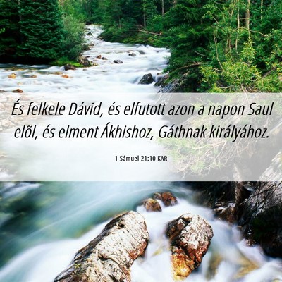 Picture 06 - 1 Sámuel 21:10 KAR - És felkele Dávid, és elfutott azon a napon - Bible Verse Picture