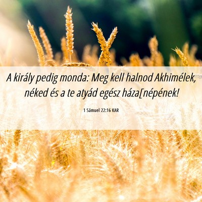 Picture 06 - 1 Sámuel 22:16 KAR - A király pedig monda: Meg kell halnod - Bible Verse Picture