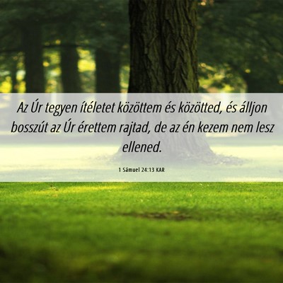 Picture 06 - 1 Sámuel 24:13 KAR - Az Úr tegyen ítéletet közöttem és - Bible Verse Picture