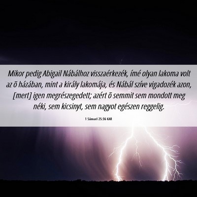 Picture 06 - 1 Sámuel 25:36 KAR - Mikor pedig Abigail Nábálhoz visszaérkezék, - Bible Verse Picture