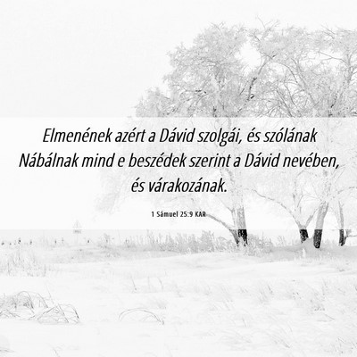 Picture 06 - 1 Sámuel 25:9 KAR - Elmenének azért a Dávid szolgái, és - Bible Verse Picture