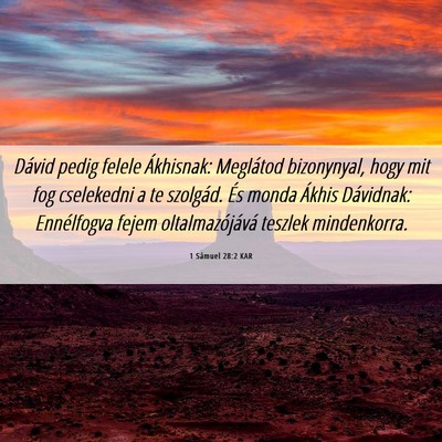 Picture 06 - 1 Sámuel 28:2 KAR - Dávid pedig felele Ákhisnak: Meglátod - Bible Verse Picture