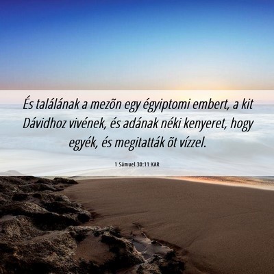 Picture 06 - 1 Sámuel 30:11 KAR - És találának a mezõn egy égyiptomi embert, a - Bible Verse Picture