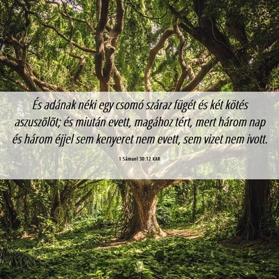 Picture 06 - 1 Sámuel 30:12 KAR - És adának néki egy csomó száraz fügét és - Bible Verse Picture