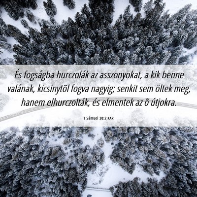 Picture 06 - 1 Sámuel 30:2 KAR - És fogságba hurczolák az asszonyokat, a kik - Bible Verse Picture