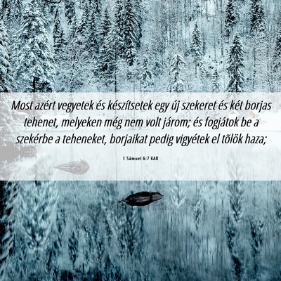 Picture 06 - 1 Sámuel 6:7 KAR - Most azért vegyetek és készítsetek egy új - Bible Verse Picture