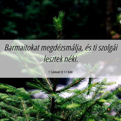 Picture 06 - 1 Sámuel 8:17 KAR - Barmaitokat megdézsmálja, és ti szolgái - Bible Verse Picture
