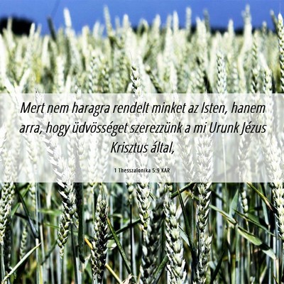 Picture 06 - 1 Thesszalonika 5:9 KAR - Mert nem haragra rendelt minket az Isten, hanem - Bible Verse Picture