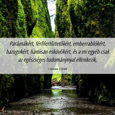 Picture 06 - 1 Timóteus 1:10 KAR - Paráznákért, férfifertõztetõkért, - Bible Verse Picture