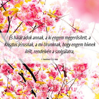Picture 06 - 1 Timóteus 1:12 KAR - És hálát adok annak, a ki engem - Bible Verse Picture